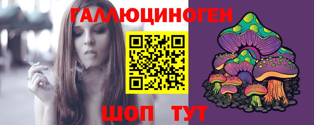Лыткарино  Галлюциногенные грибы Cubensis  Вход с VPN 